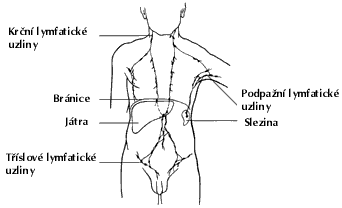 Lymfatick systm